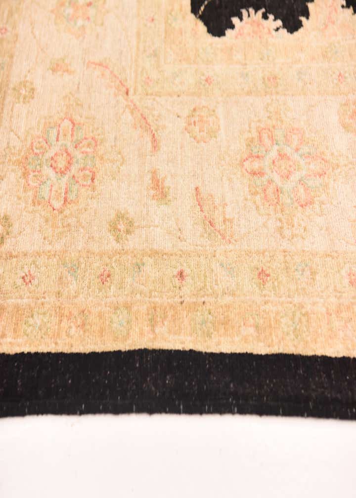 8' 4 x 10' Hand Knotted Peshawar Ziegler Rug