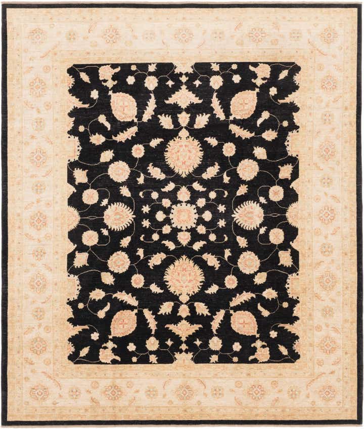8' 4 x 10' Hand Knotted Peshawar Ziegler Rug