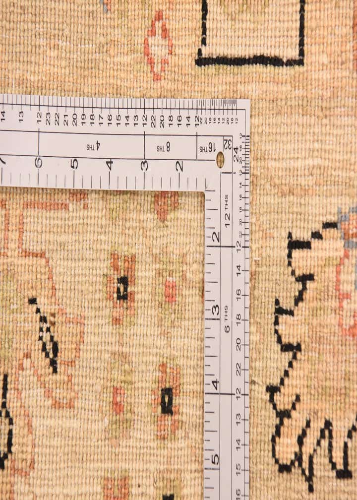 8' 4 x 9' 10 Hand Knotted Peshawar Ziegler Rug