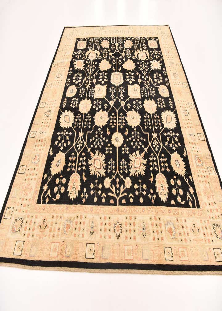 8' 4 x 9' 10 Hand Knotted Peshawar Ziegler Rug