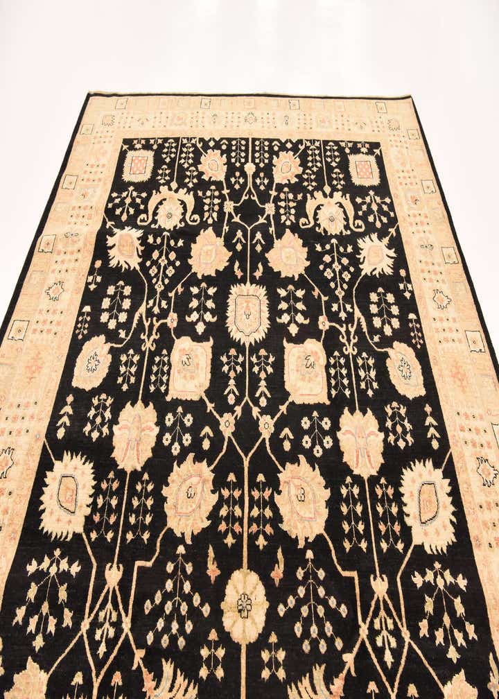 8' 4 x 9' 10 Hand Knotted Peshawar Ziegler Rug