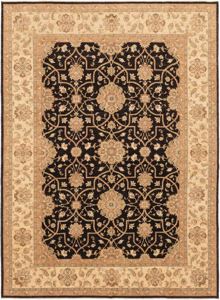 10' 3 x 13' 8 Hand Knotted Peshawar Ziegler Rug