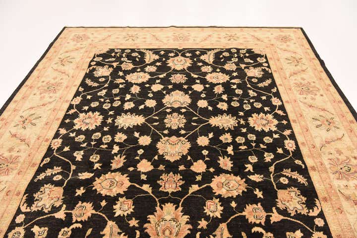 8' 2 x 9' 10 Hand Knotted Peshawar Ziegler Rug