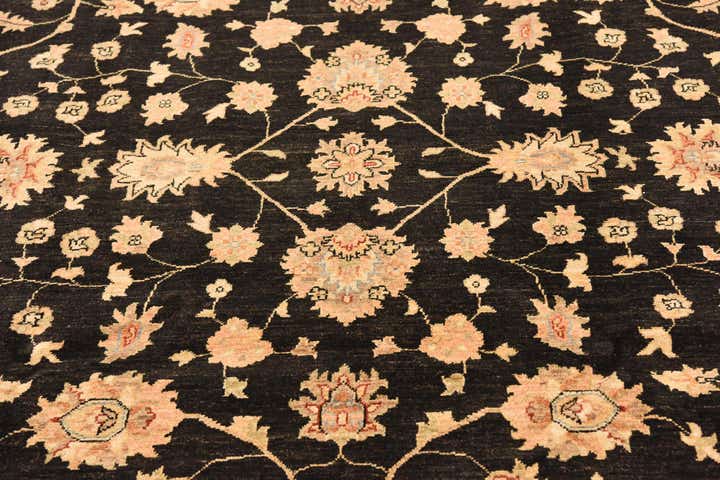 8' 2 x 9' 10 Hand Knotted Peshawar Ziegler Rug