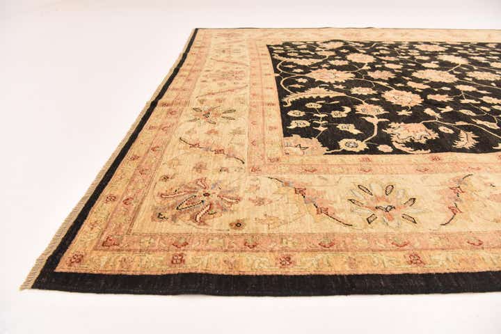 8' 2 x 9' 10 Hand Knotted Peshawar Ziegler Rug
