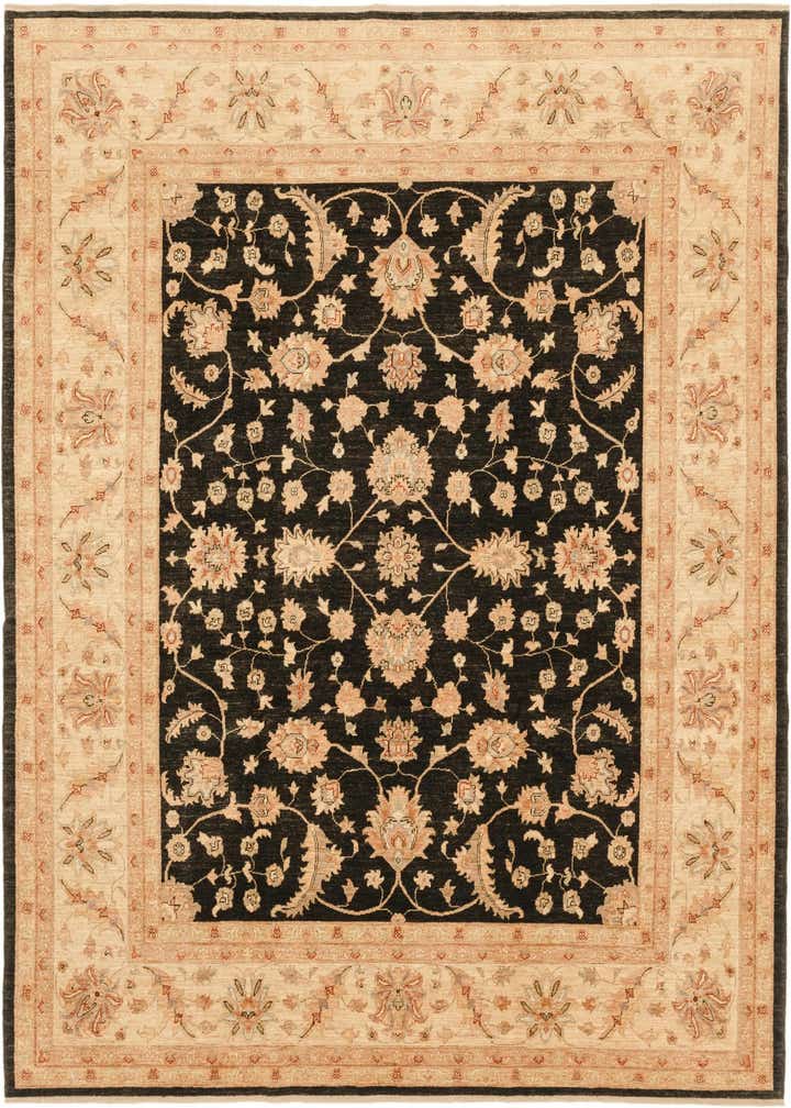 8' 2 x 9' 10 Hand Knotted Peshawar Ziegler Rug