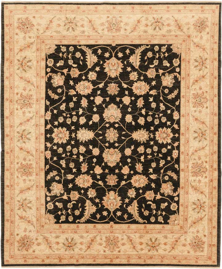 8' 2 x 9' 10 Hand Knotted Peshawar Ziegler Rug