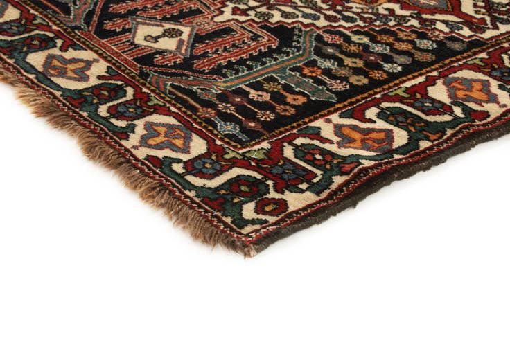 Detail image of 3' 7 x 13' 3 Bachtiar Runner Rug