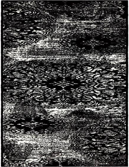 Detail image of 2' x 9' 10 Monte Carlo Runner Rug