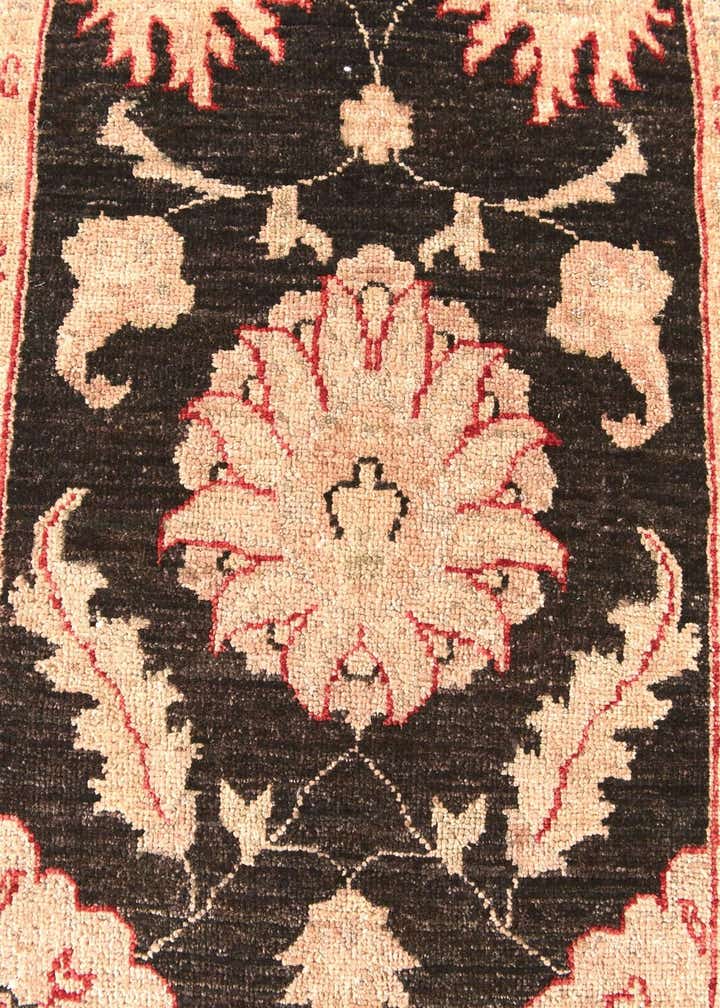2' 6 x 10' 1 Hand Knotted Pershawar Ziegler Runner Rug