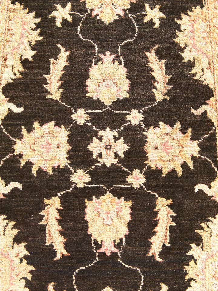 2' 9 x 10' 3 Hand Knotted Peshawar Ziegler Runner Rug