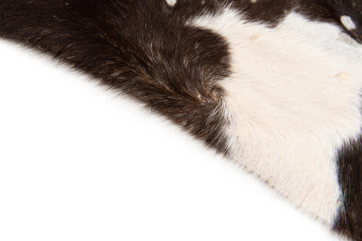 6' 3 x 6' 8 Cowhide Leather Square Rug