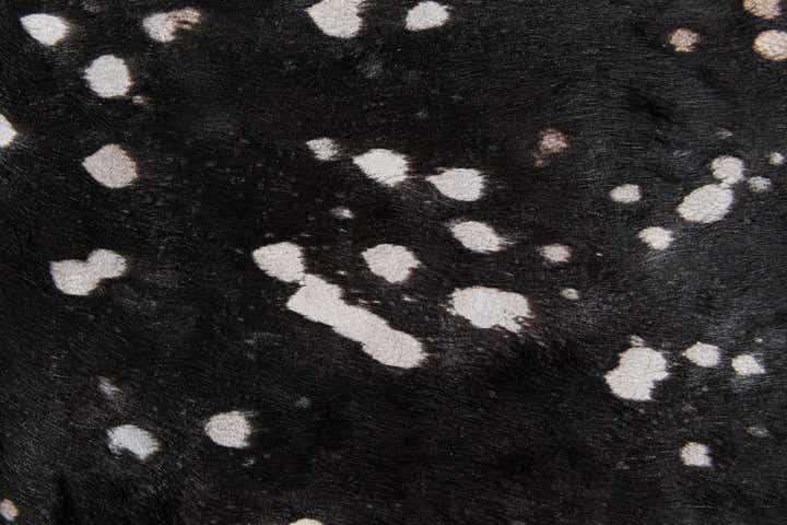 6' 3 x 6' 8 Cowhide Leather Square Rug