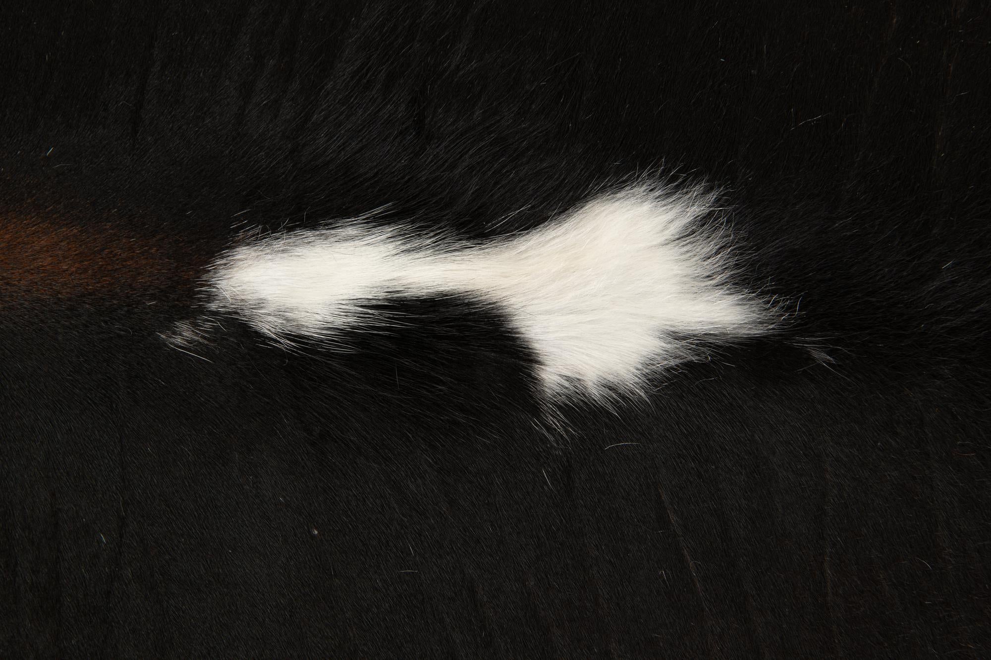 5' 10 x 6' 4 Cowhide Leather Square Rug