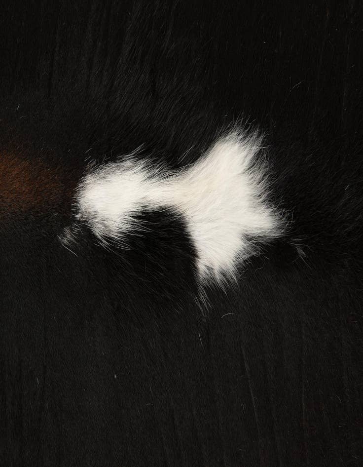 Detail image of 5' 10 x 6' 4 Cowhide Leather Square Rug