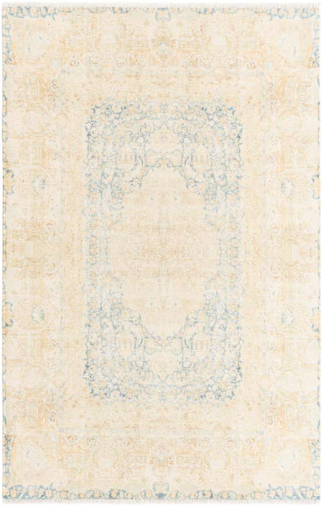 3' 11 x 5' 11 Boutique Rug