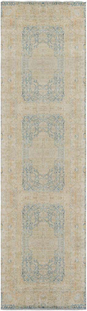 3' 3 x 11' 10 Boutique Runner Rug