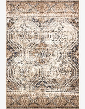 10' x 14' 5 Villa Rug