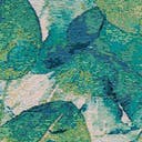 Color variant