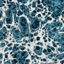 Rug Blue Swatch link