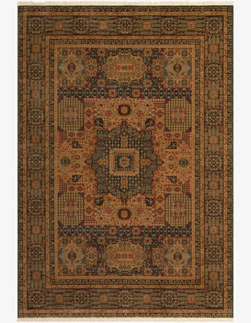 7' x 10' Amina Rug