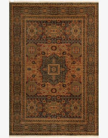6' x 9' Amina Rug