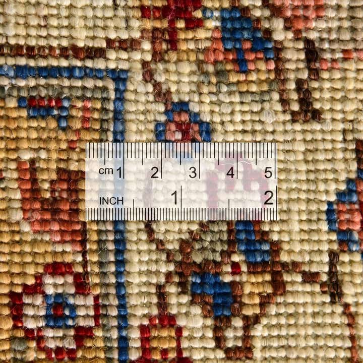 4' x 6' 4 Hand Knotted Ariana Ziegler Rug