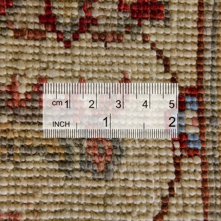 Detail image of 4' 2 x 6' 2 Hand Knotted Ariana Ziegler Rug
