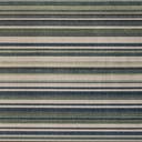 Color variant