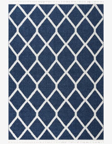 9' 6 x 14' 3 Boho Rug