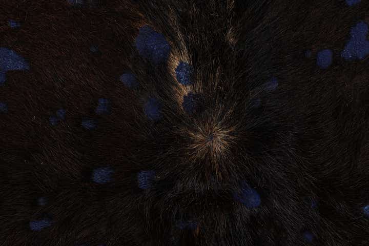 6' 2 x 6' 10 Cowhide Leather Rug
