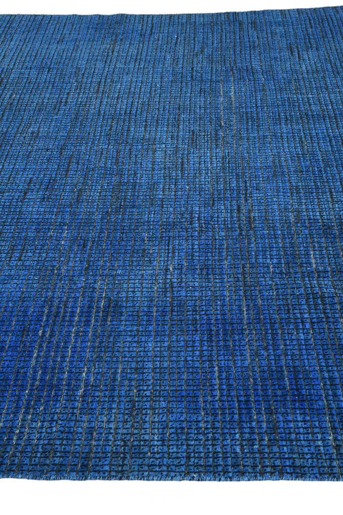 8' 9 x 12' Hand Knotted Darya Wool Rug