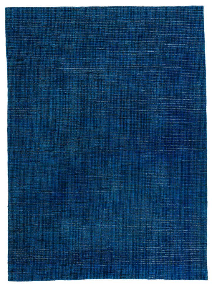 8' 9 x 12' Hand Knotted Darya Wool Rug