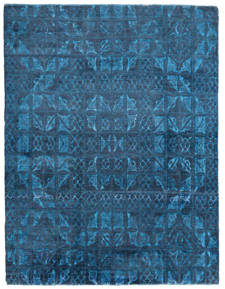 8' x 10' Hand Knotted Darya Rug