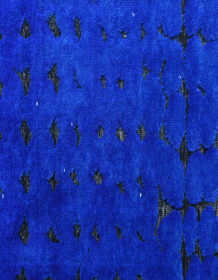 Detail image of 8' 10 x 12' 1  Hand Knotted Darya Wool Rug