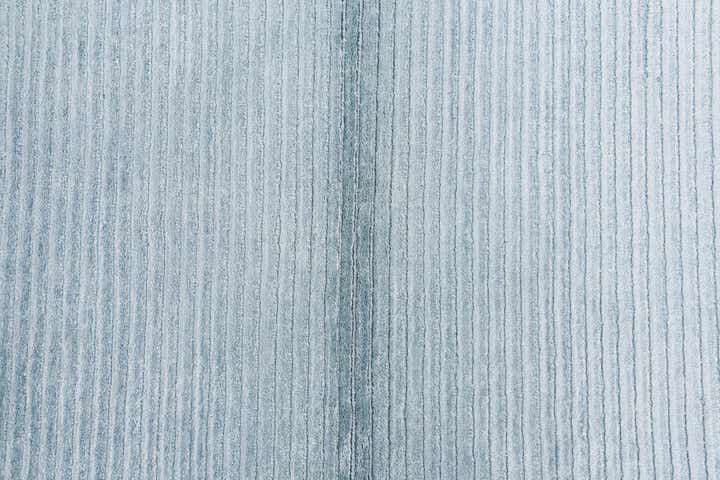 2' 7 x 5' Hand Knotted Darya Wool Rug