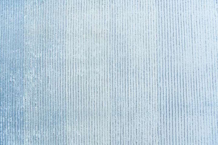 6' 8 x 9' 11 Hand Knotted Darya Wool Rug