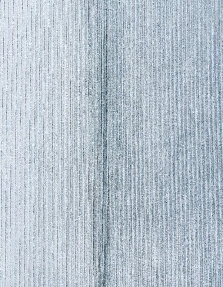 Detail image of 2' 8 x 5' 1  Hand Knotted Darya Wool Rug