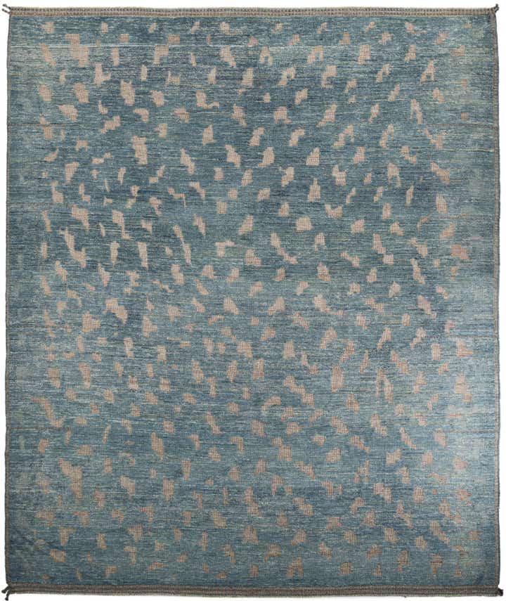 12' 8 x 14' 2 Hand Knotted Darya Wool Rug