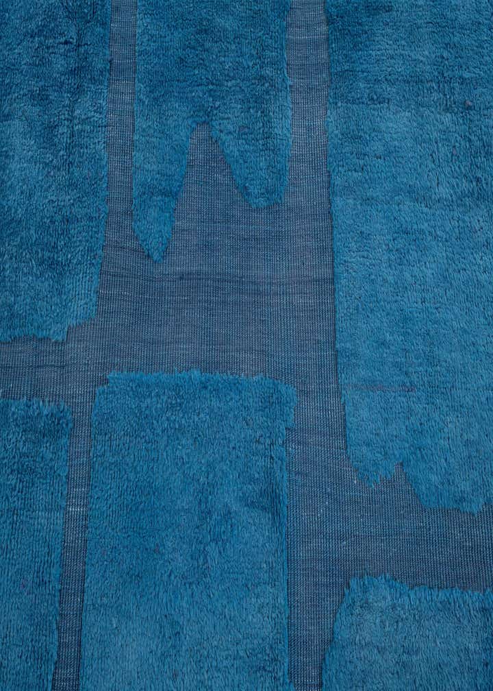 12' 2 x 15' Hand Knotted Darya Wool Rug