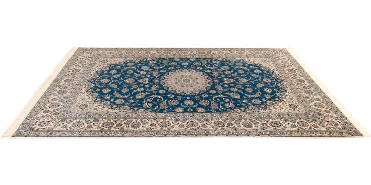 Detail image of 6' 9 x 10' 4 Nain Rug