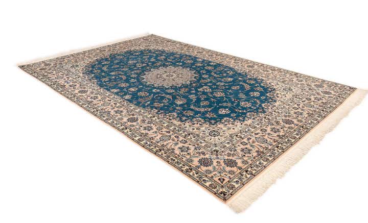 6' 9 x 10' 3 Nain Rug