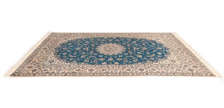 6' 9 x 10' 3 Nain Rug