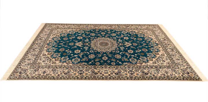 5' 1 x 7' 5 Nain Rug