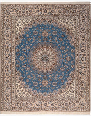 8' 8 x 10' 4 Nain Rug