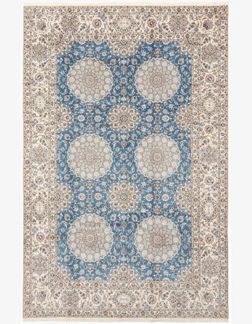 6' 10 x 10' 4 Nain Rug
