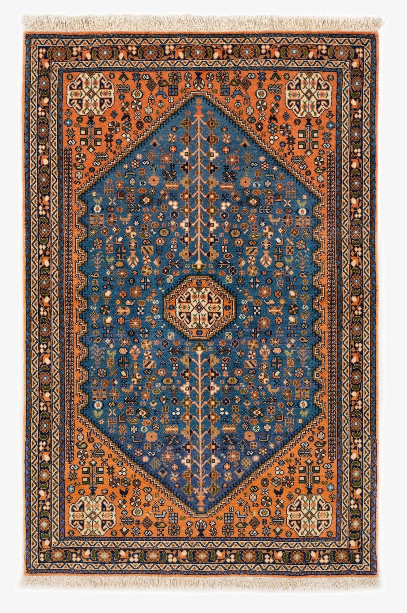 3' 7 x 5' 1  Hand Knotted Nasrabad Persian Wool Rug