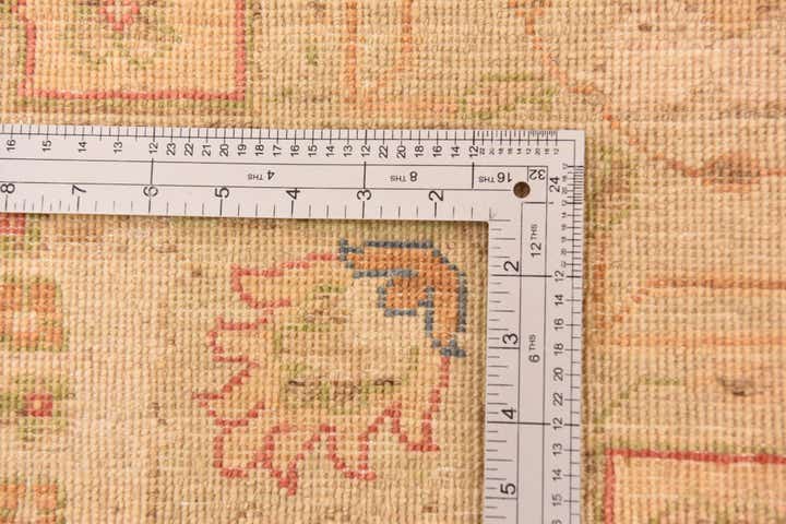 10' x 12' 10 Hand Knotted Peshawar Ziegler Rug