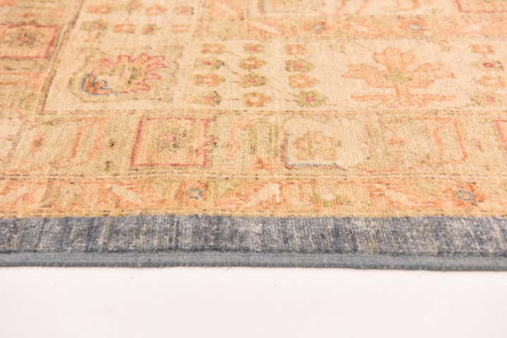 10' x 12' 10 Hand Knotted Peshawar Ziegler Rug