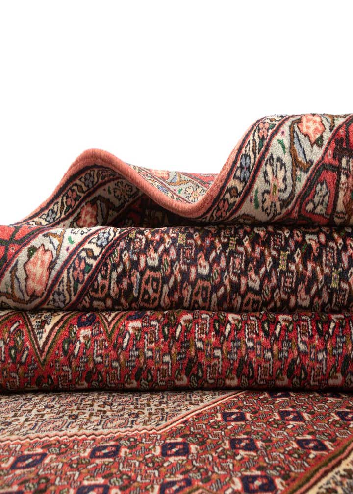 8' 2 x 11' 8 Senneh Wool Rug